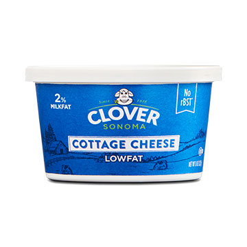 Regular Cottage Cheese